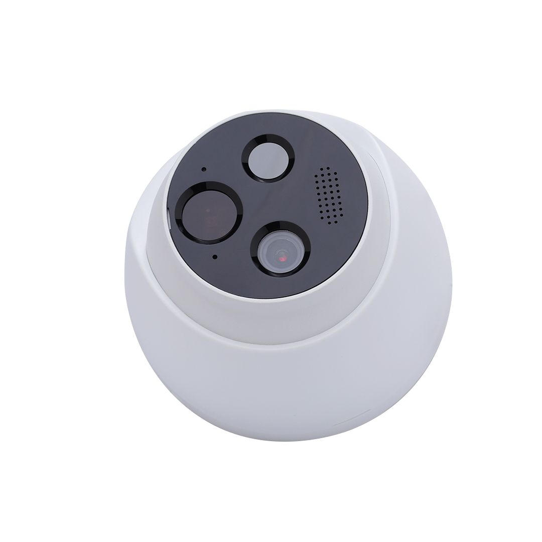 Dahua Flame Detection Network Camera (NTSC)